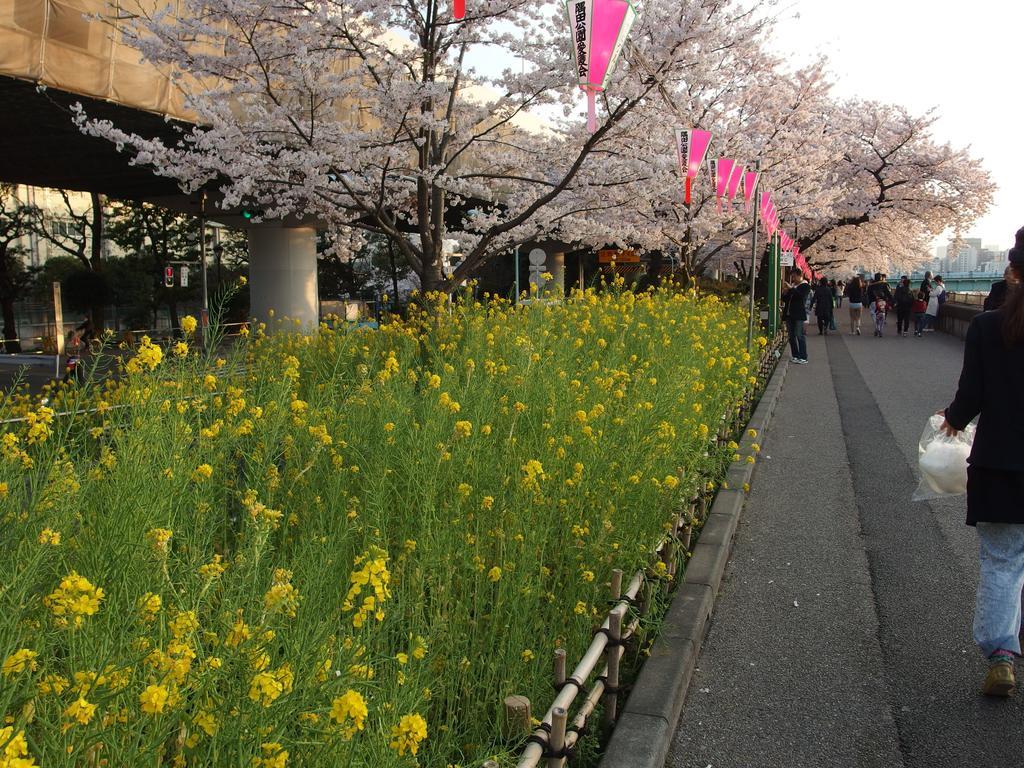 東京都シタマチ ベースアパートメント エクステリア 写真
